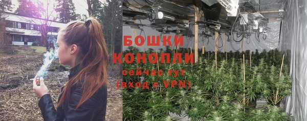 трава Заводоуковск
