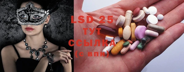 PSILOCYBIN Зерноград